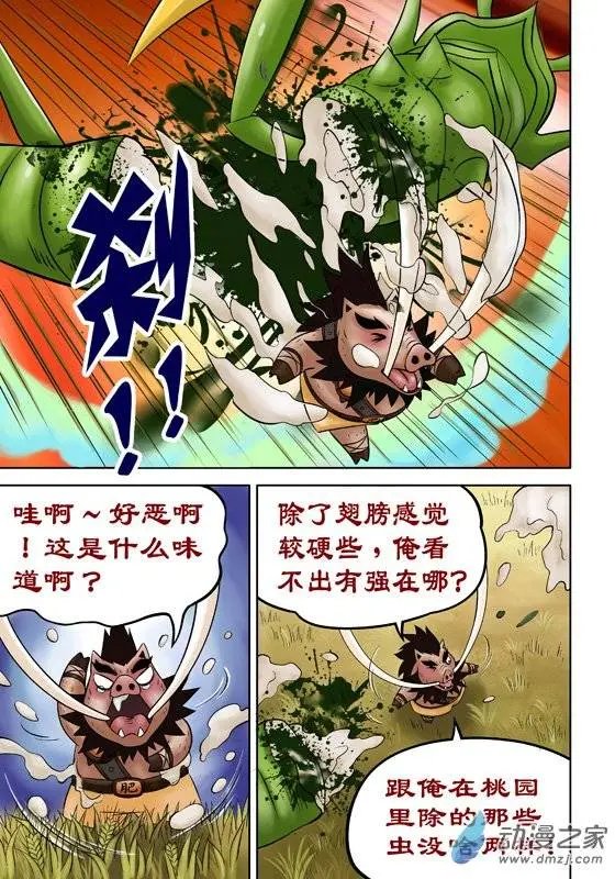 第44回