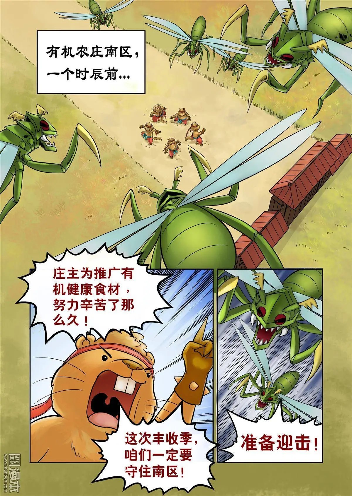 第46回