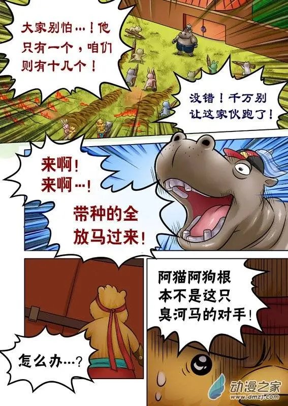 第48回