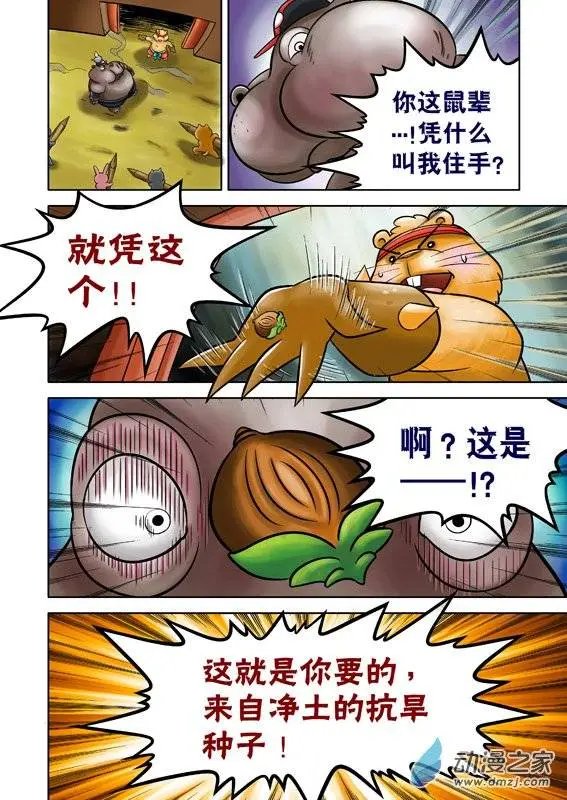 第49回