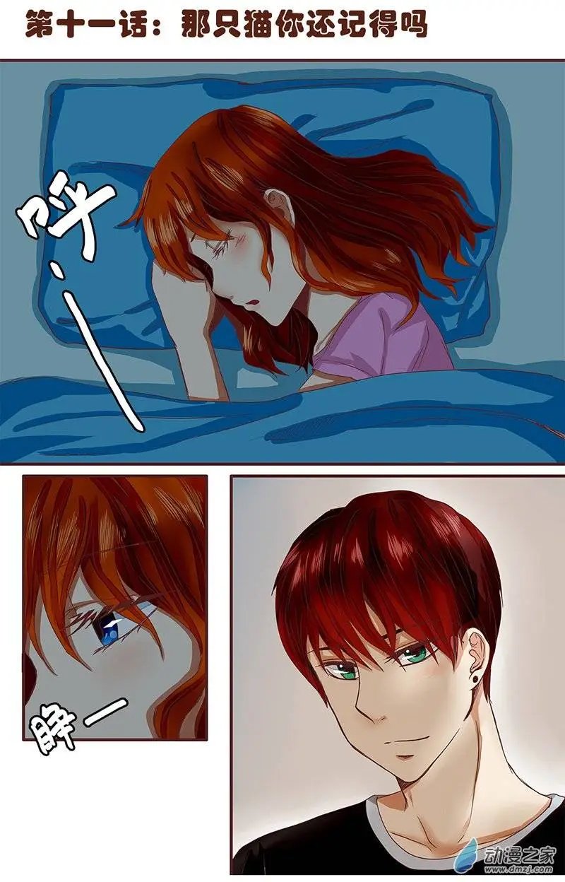 第11回 那只猫你还记得吗