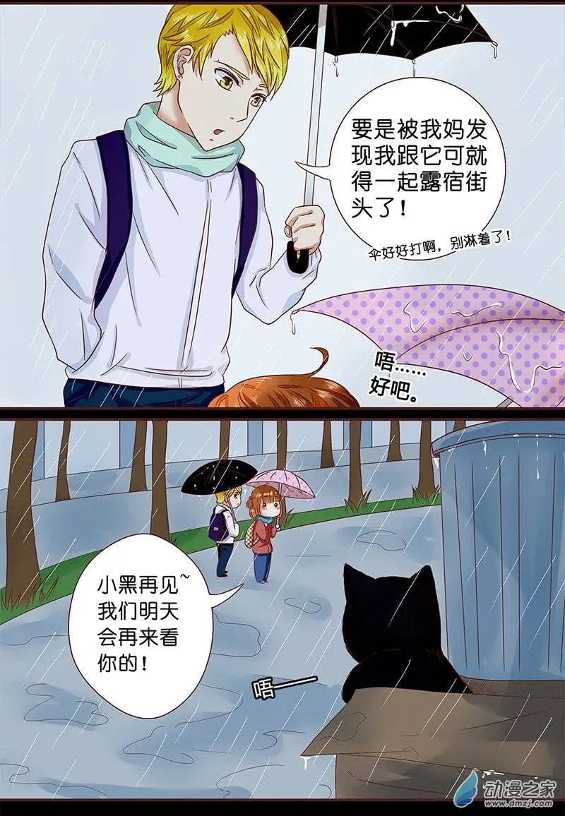 第11回 那只猫你还记得吗