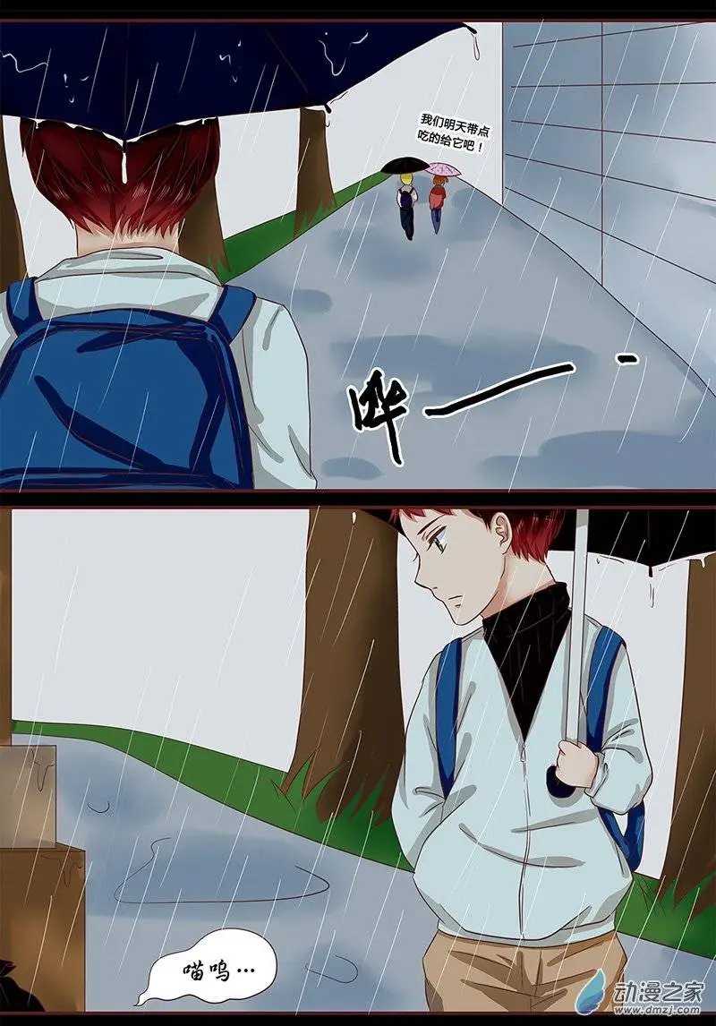 第11回 那只猫你还记得吗