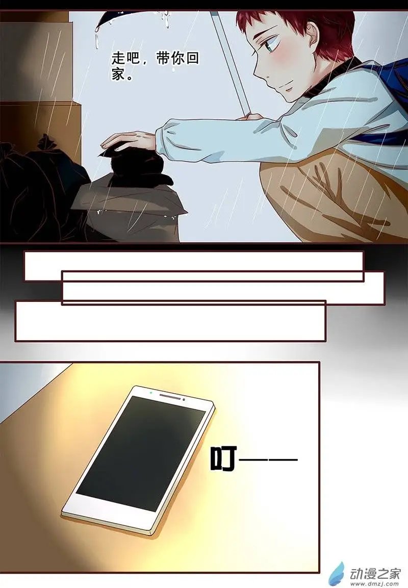 第11回 那只猫你还记得吗