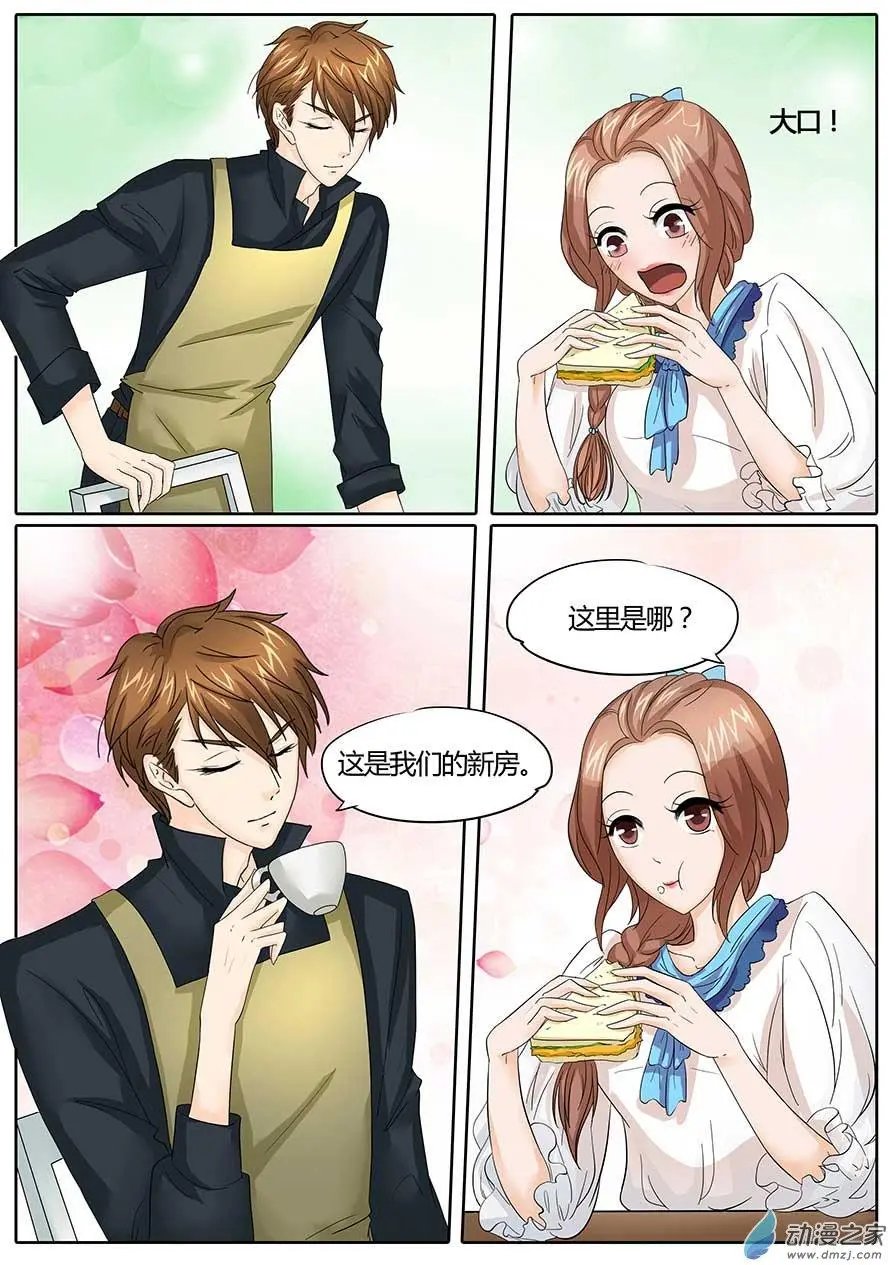 第31回