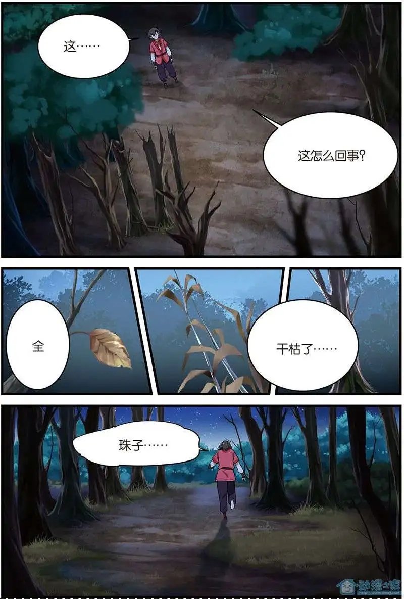 第10回 珠子