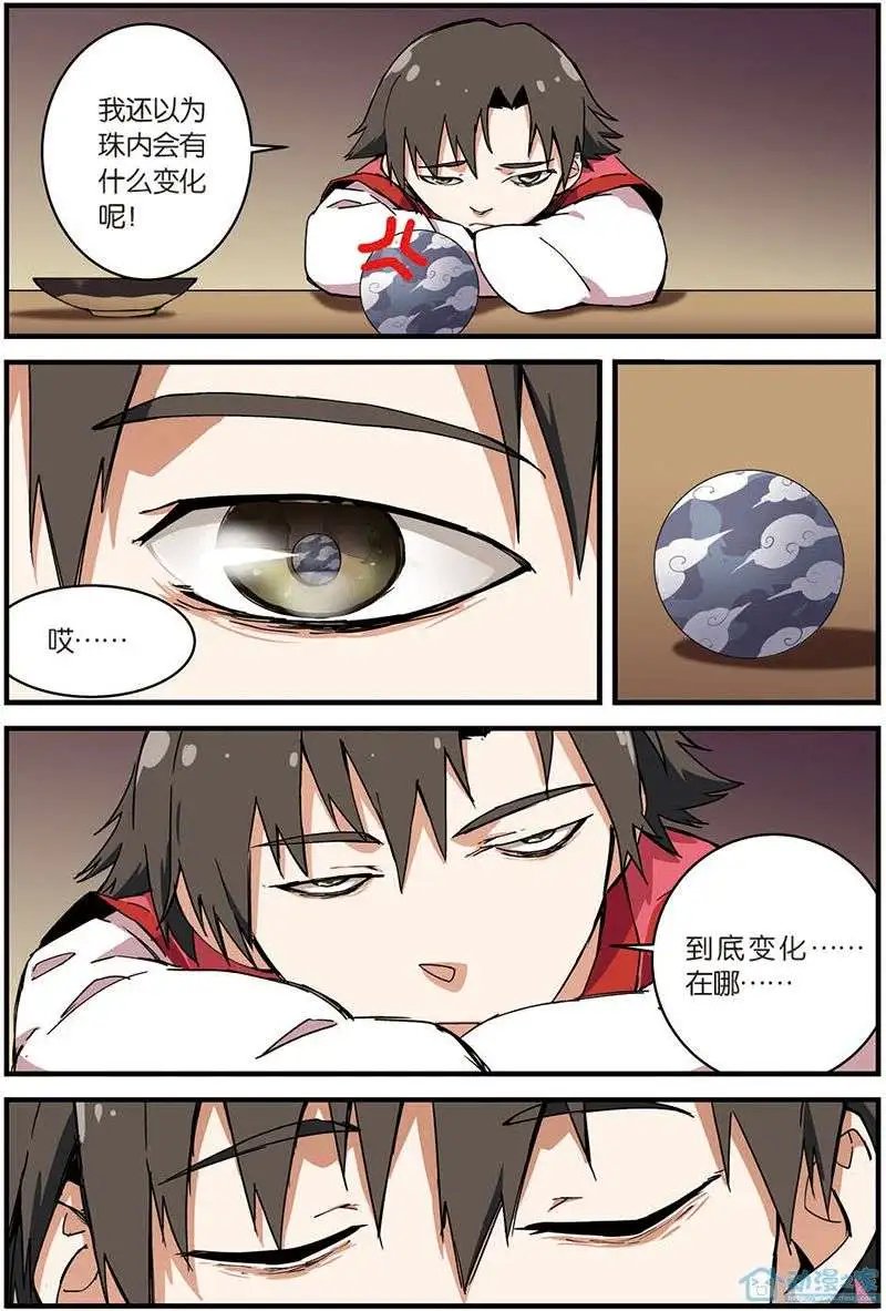 第10回 珠子