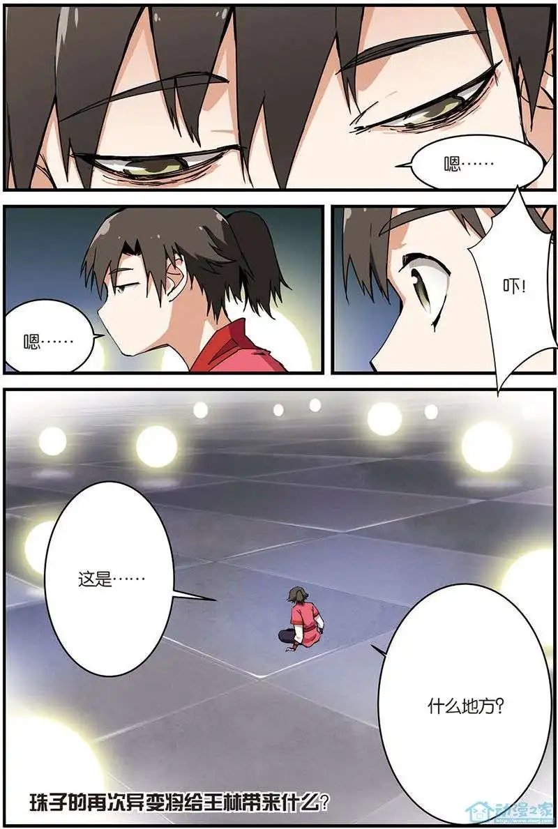 第10回 珠子
