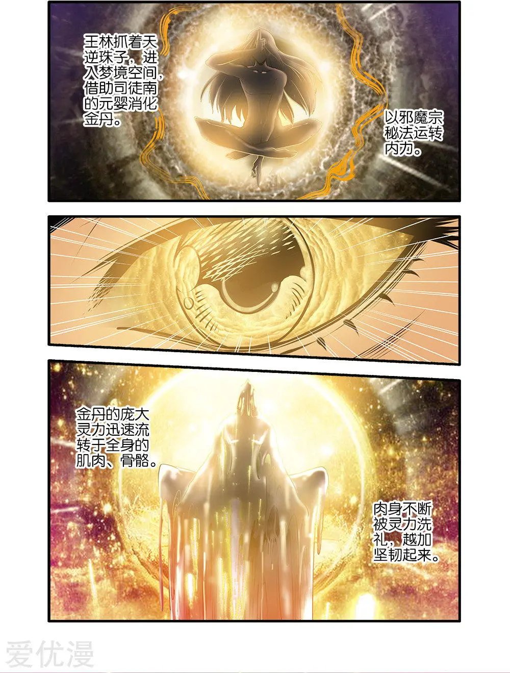 第70话 金丹3