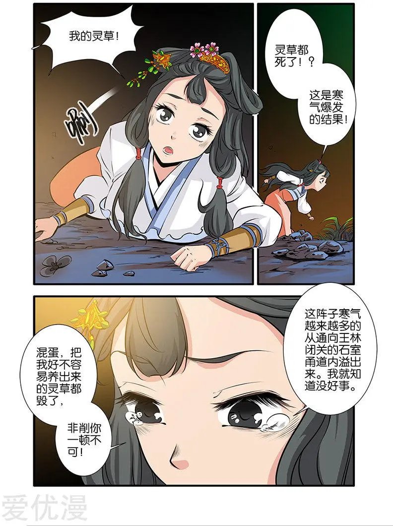 第74话 三颗寒丹