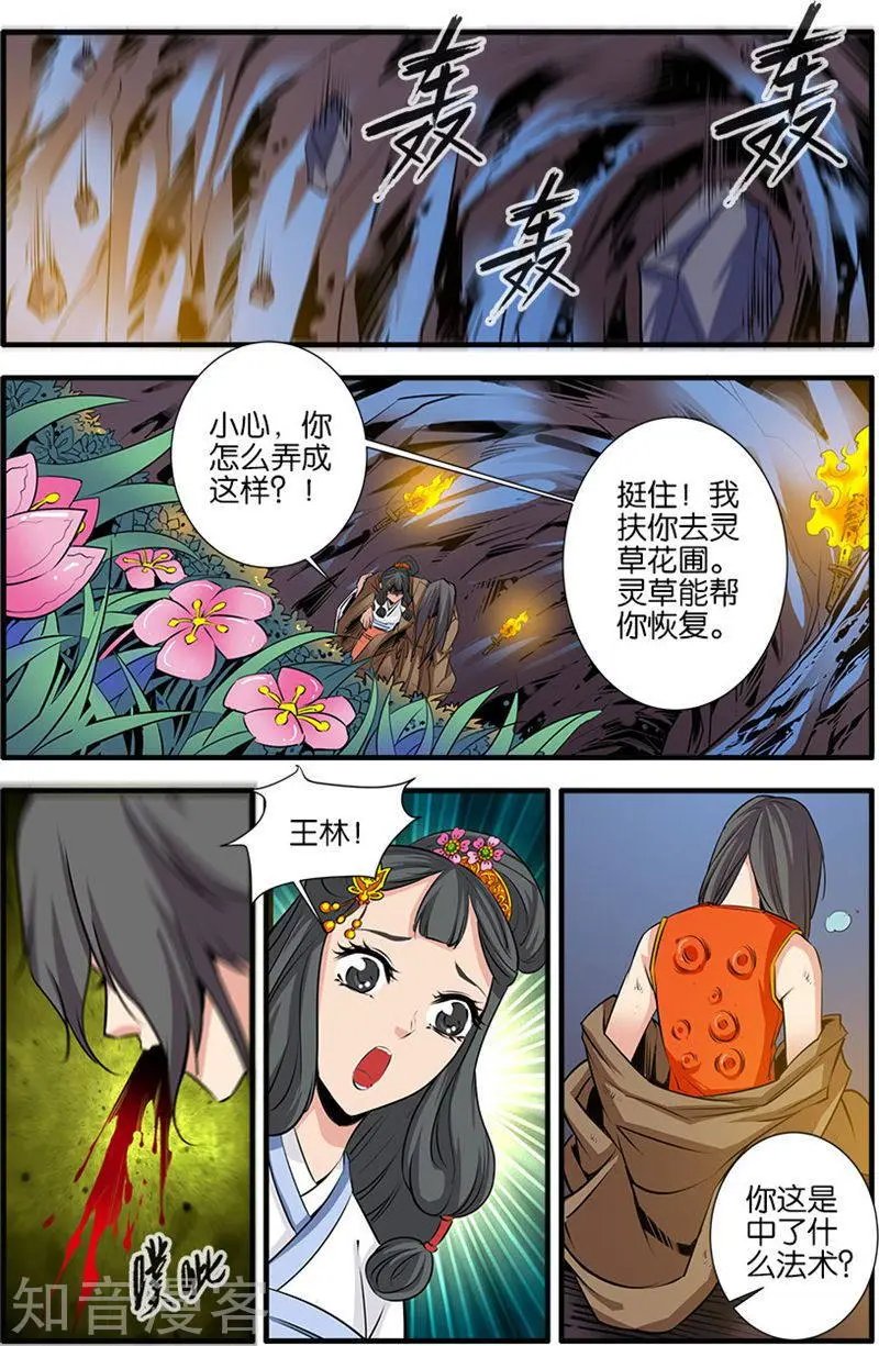 第78话 结丹