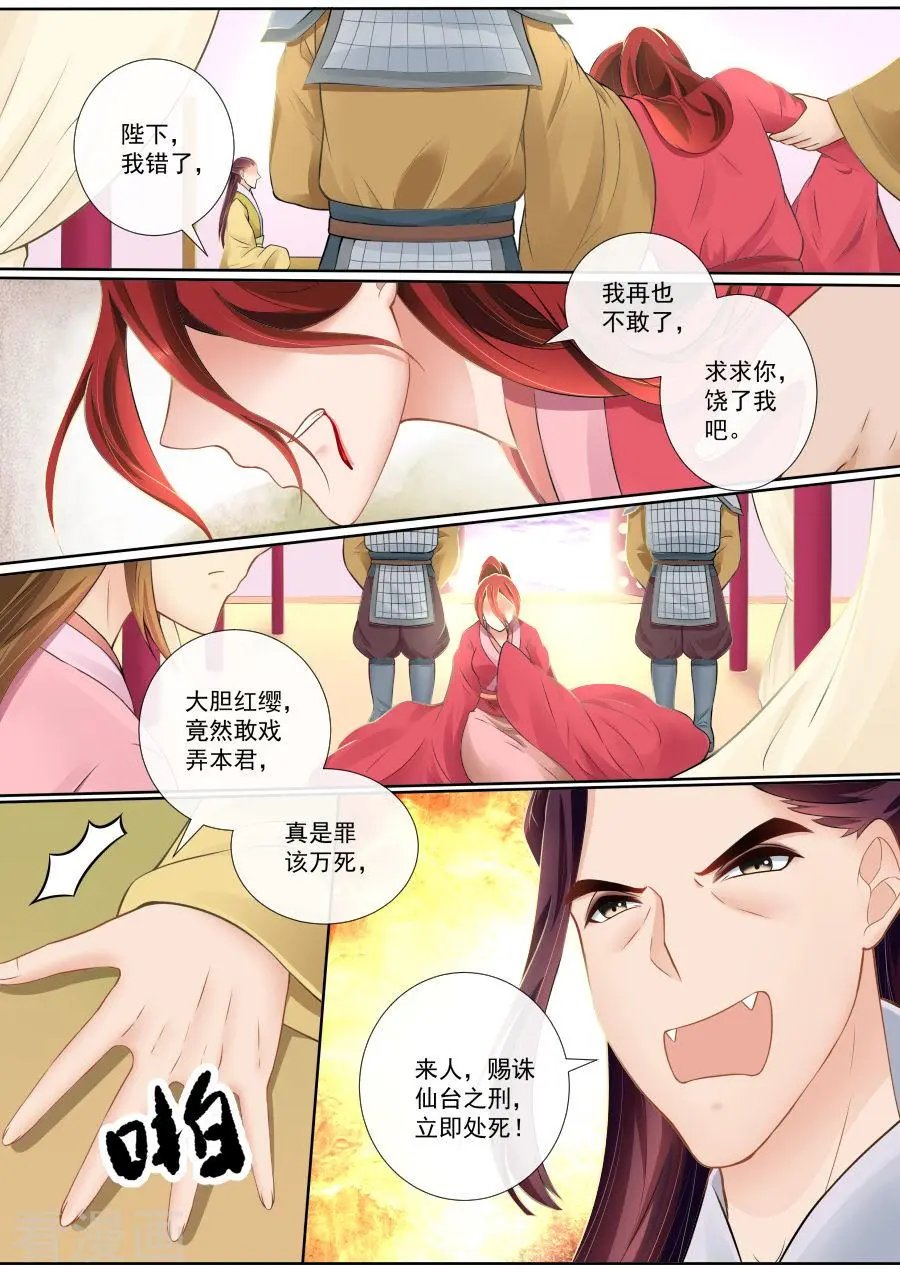 第104话 补偿你