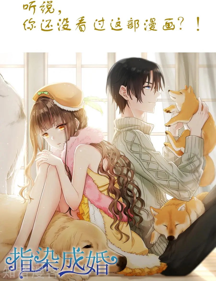 第172话 那就试试
