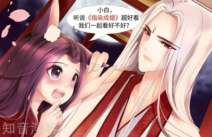 第175话 雪绒真身
