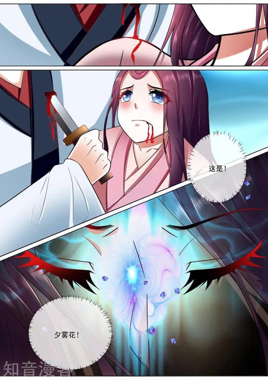 第188话 守护绯儿