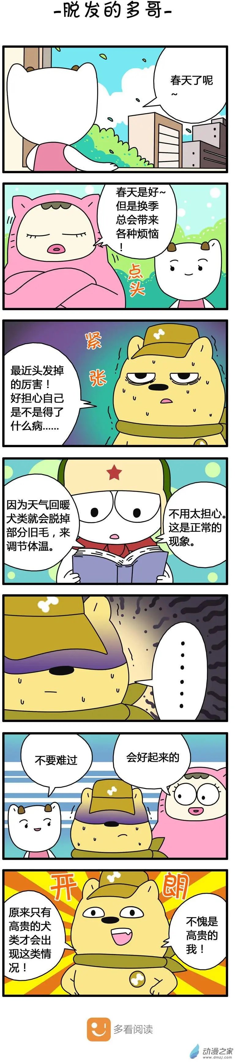 第72回 脱发的多哥
