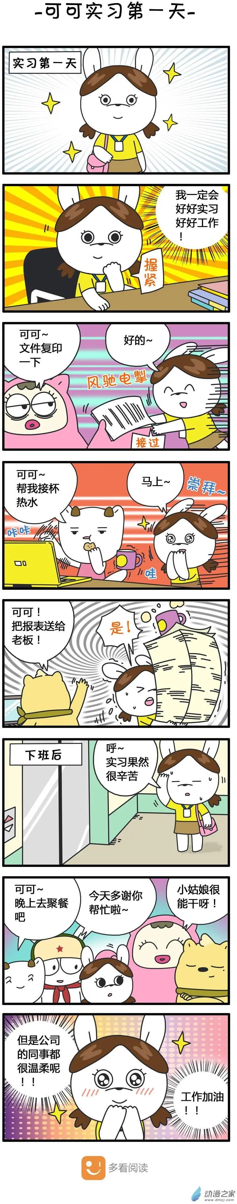 第80回 可可实习的一天