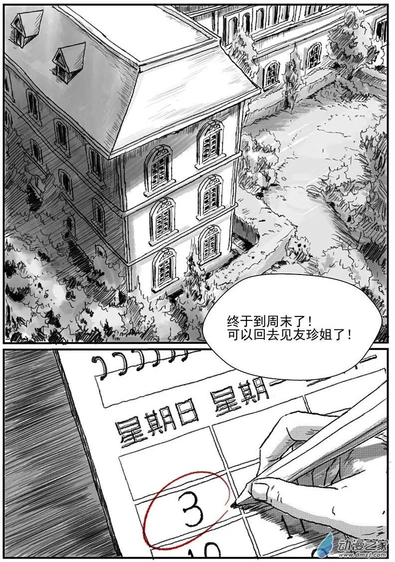 花开咏夏（2）
