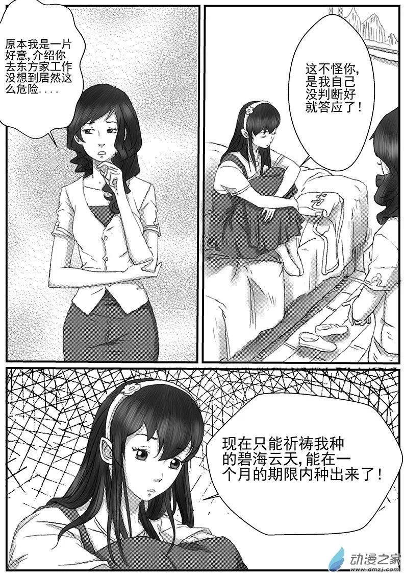 花开咏夏（3）