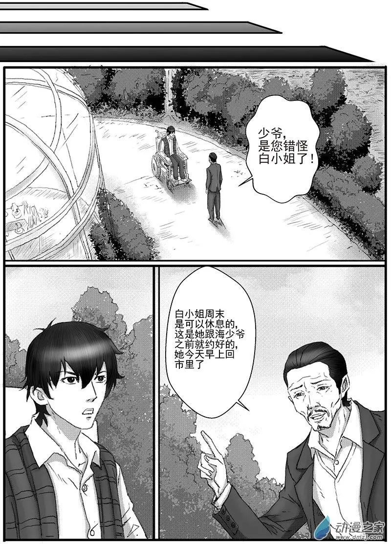 花开咏夏（4）