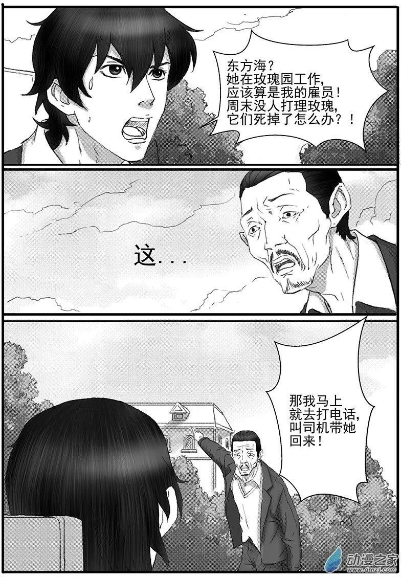 花开咏夏（4）