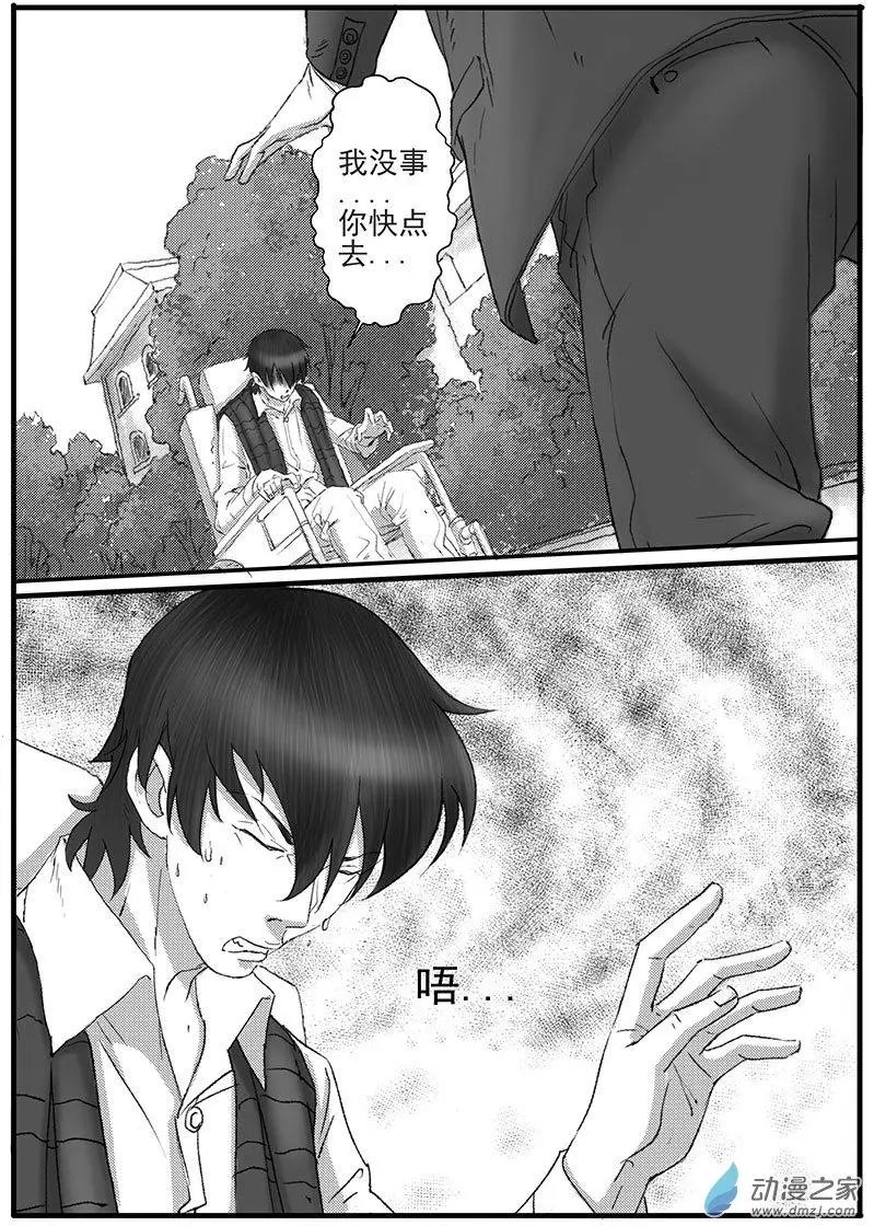 花开咏夏（4）
