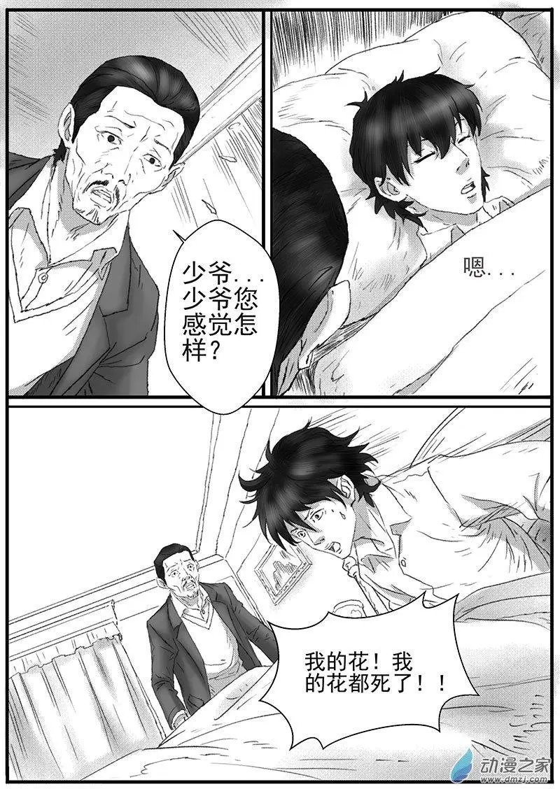 花开咏夏（5）