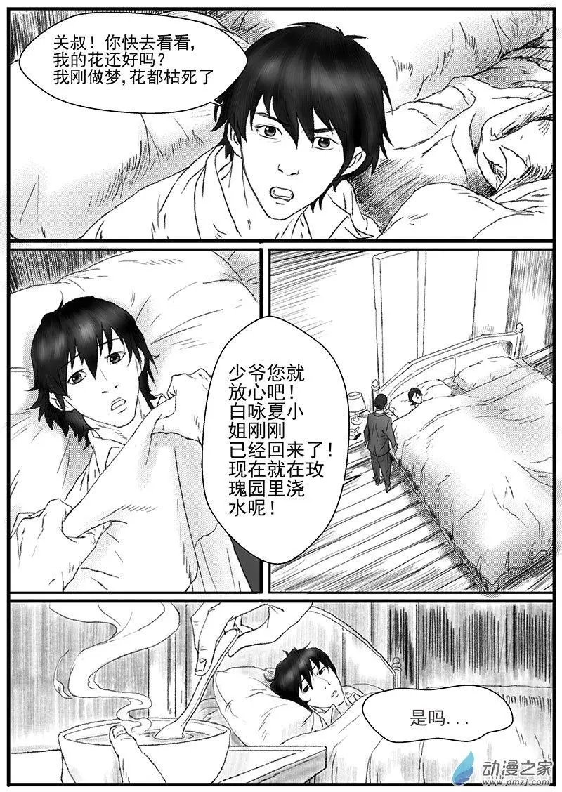 花开咏夏（5）