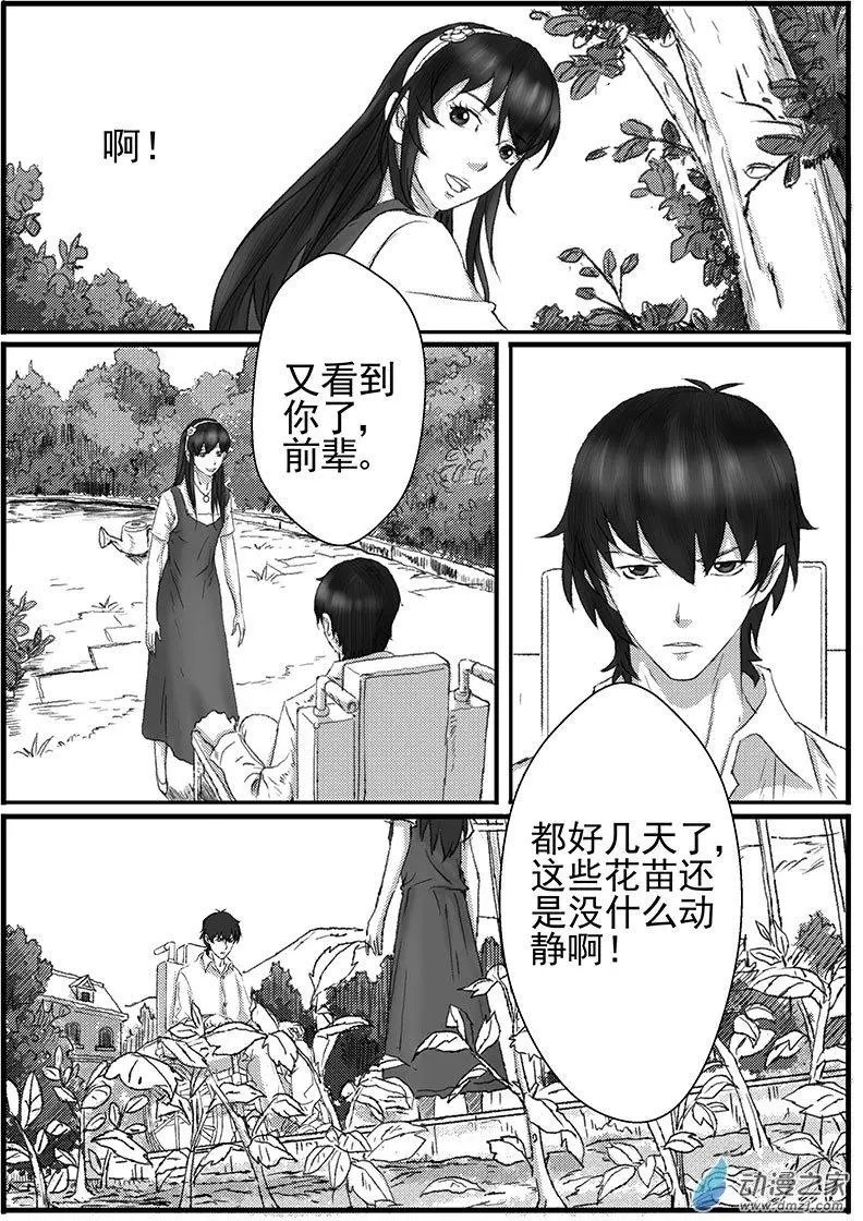 花开咏夏（5）