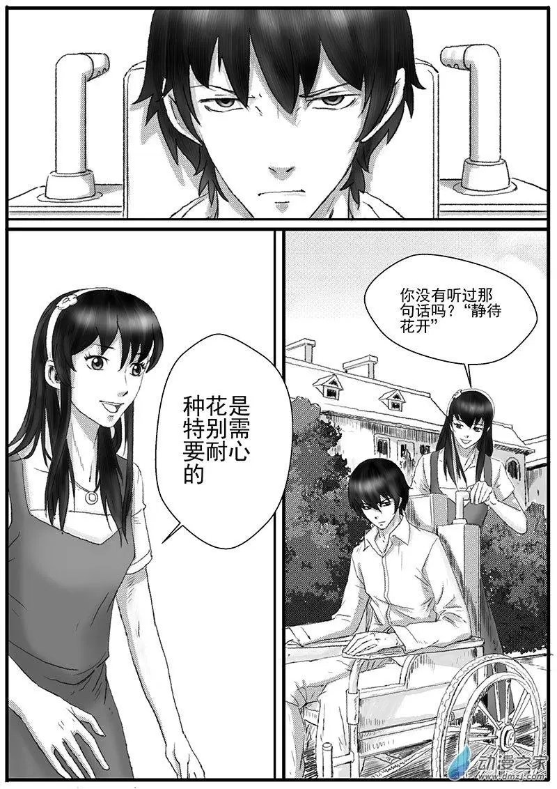 花开咏夏（6）