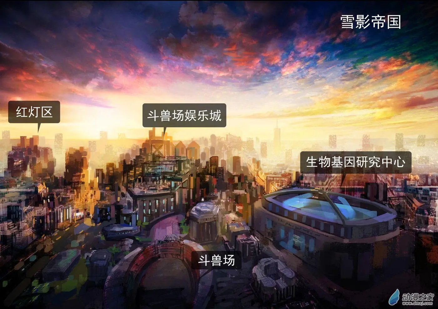 第12回 奇博士