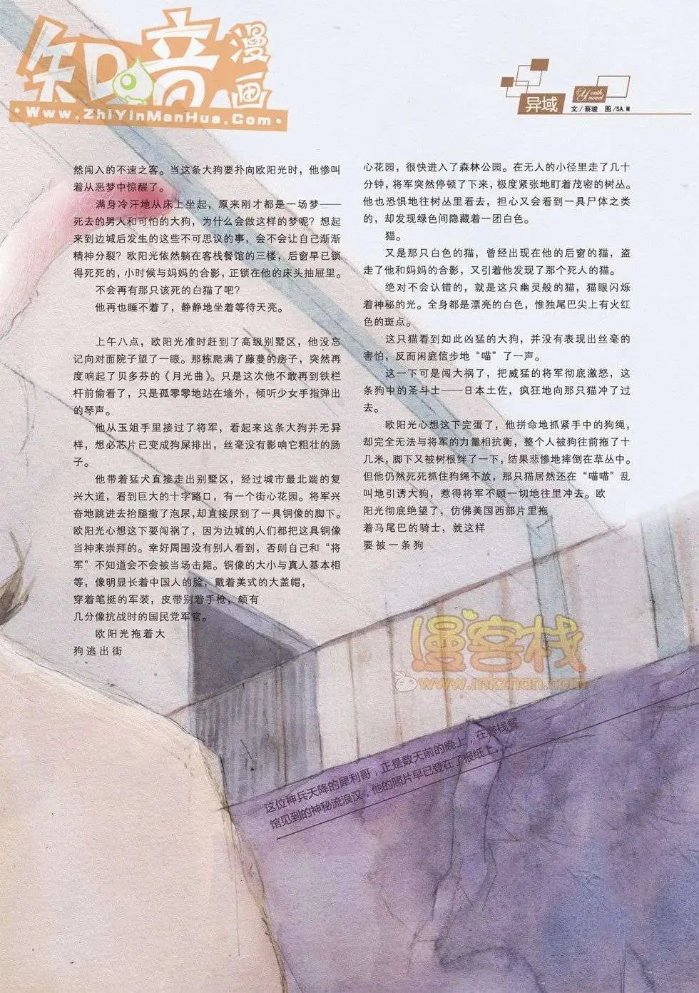 17期