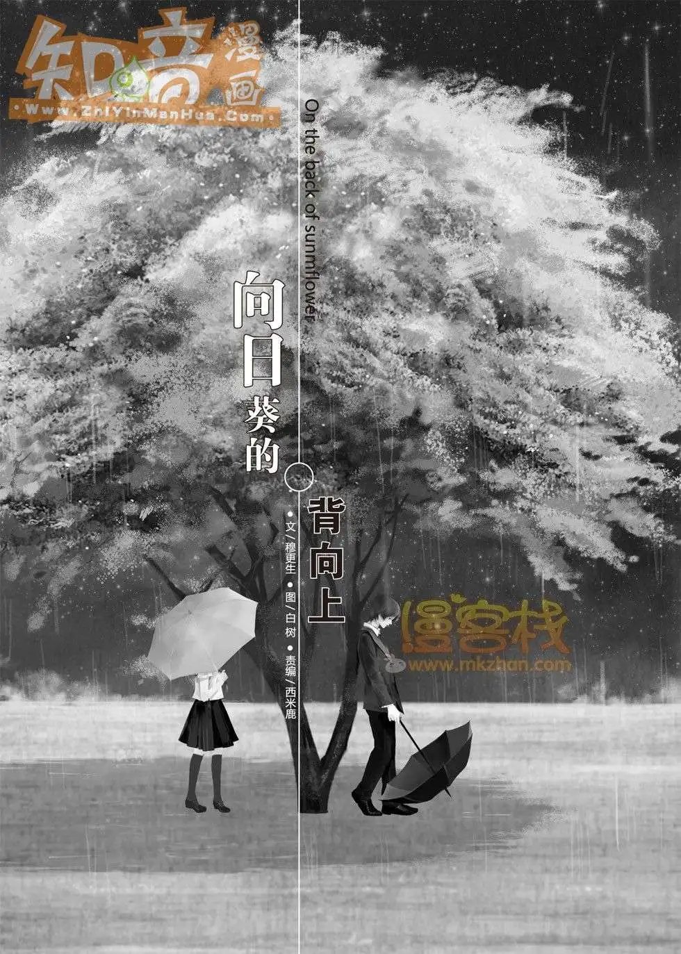 20期