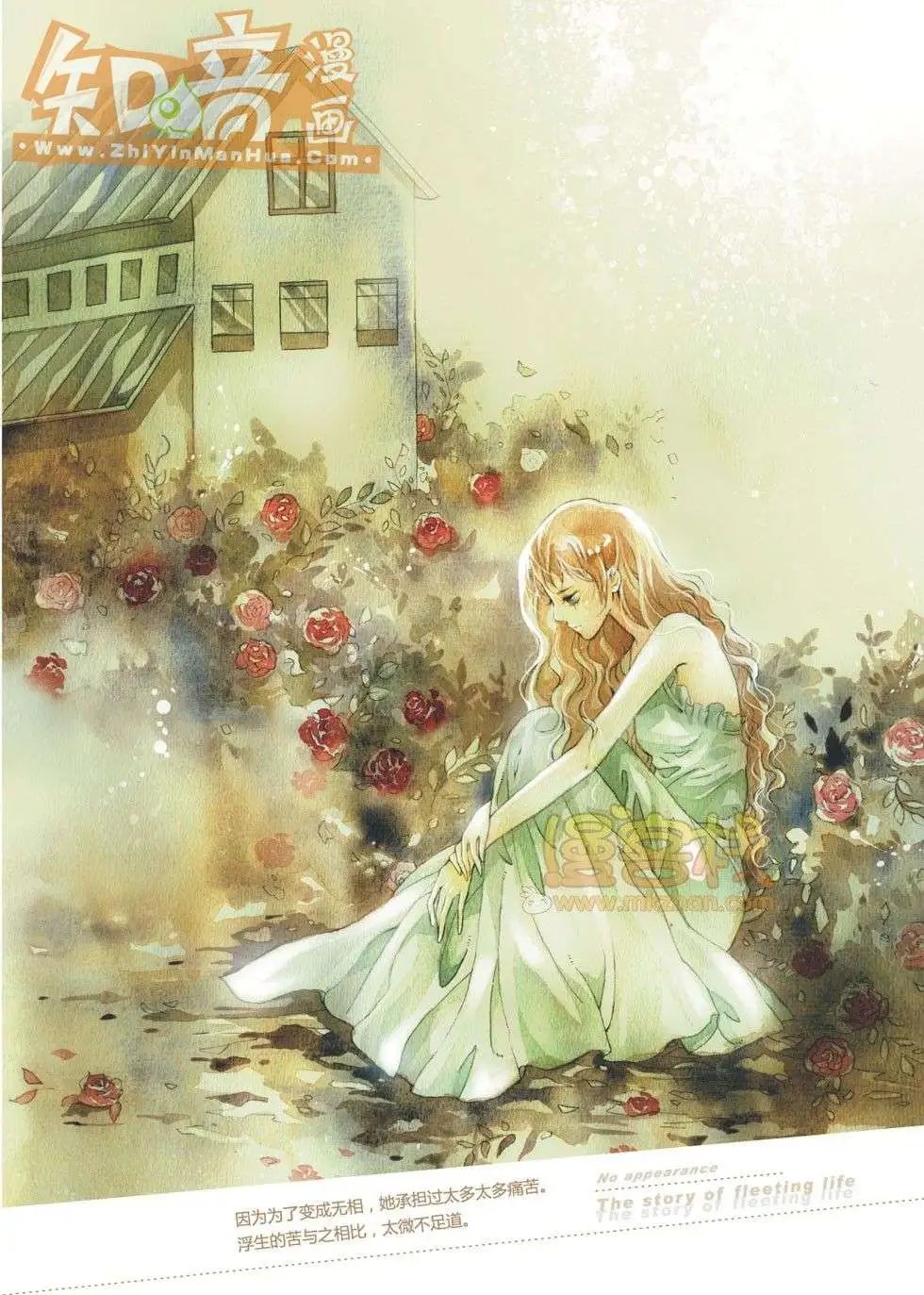 11期