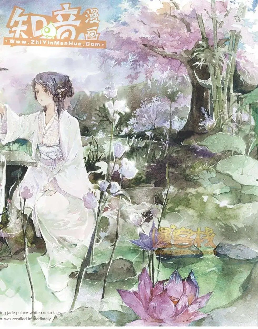 13期