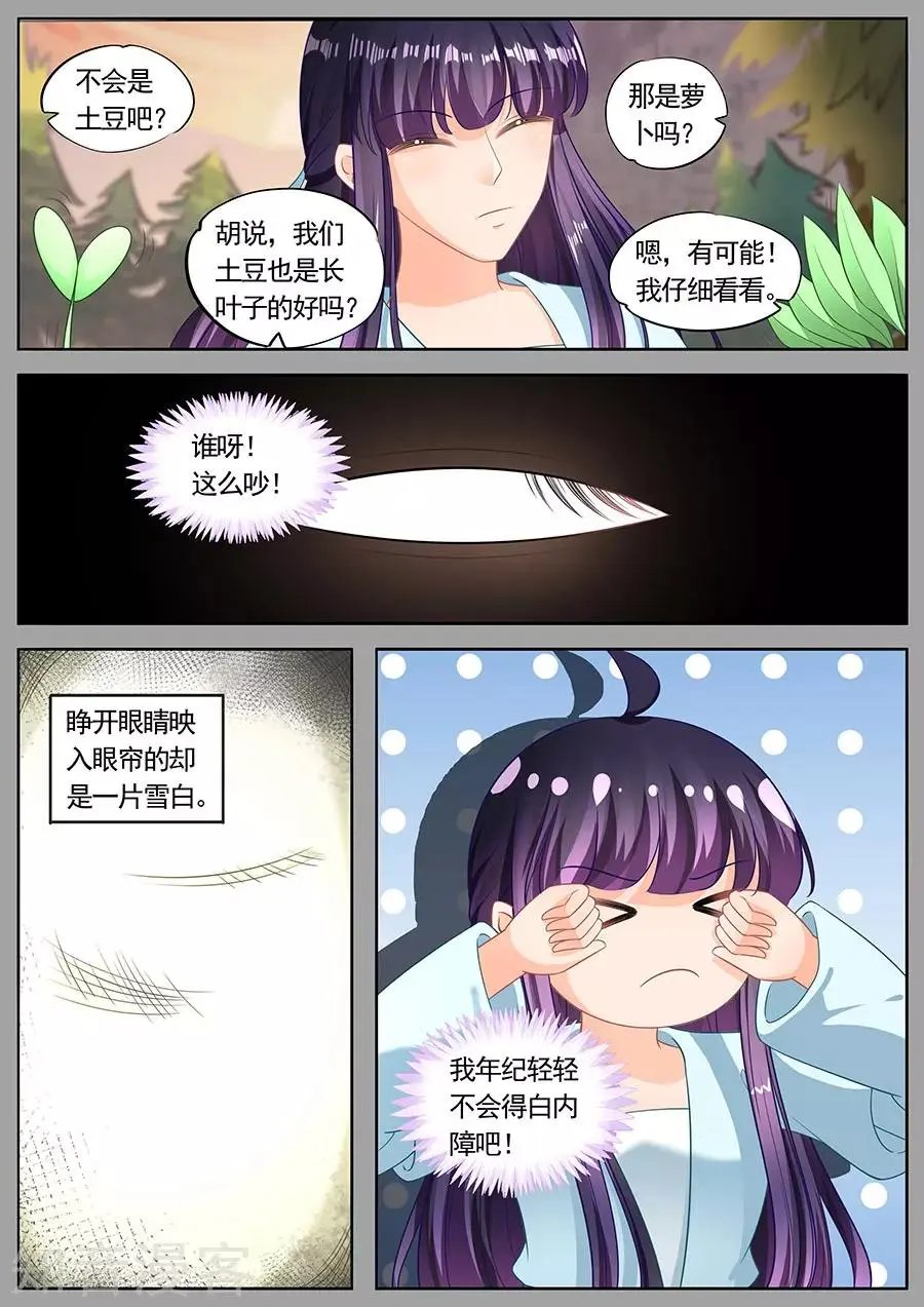 第217话