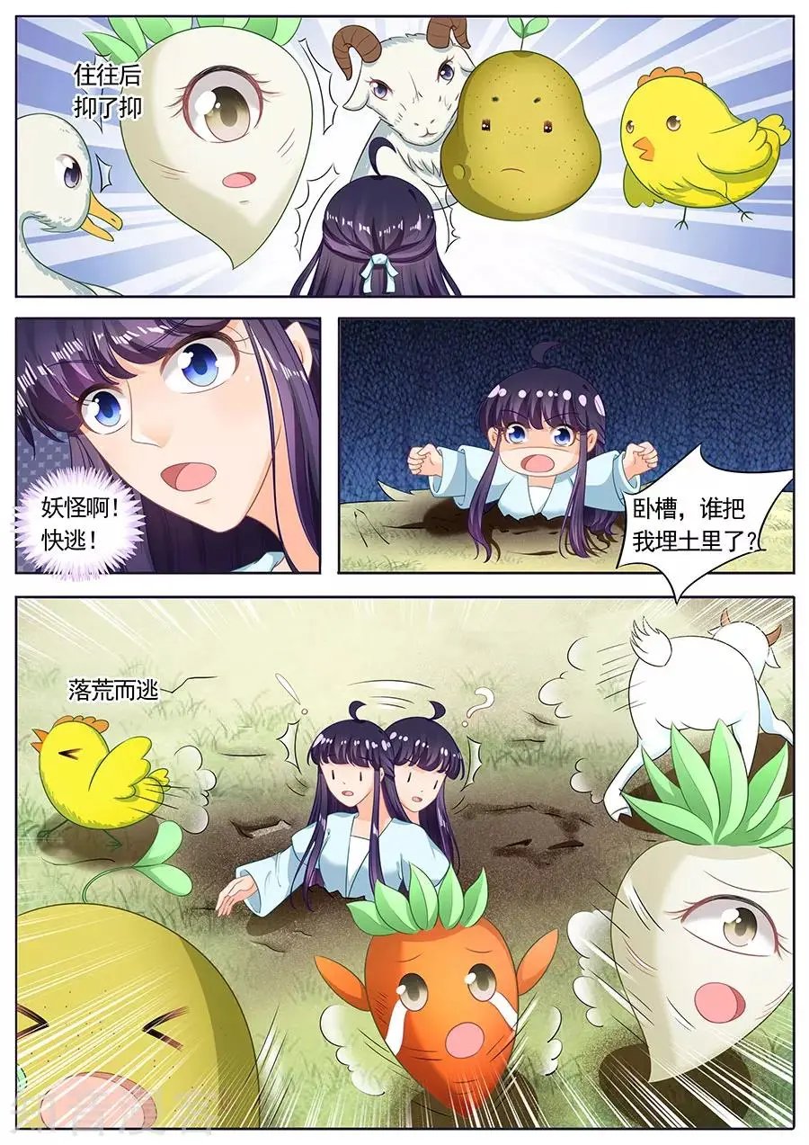 第217话