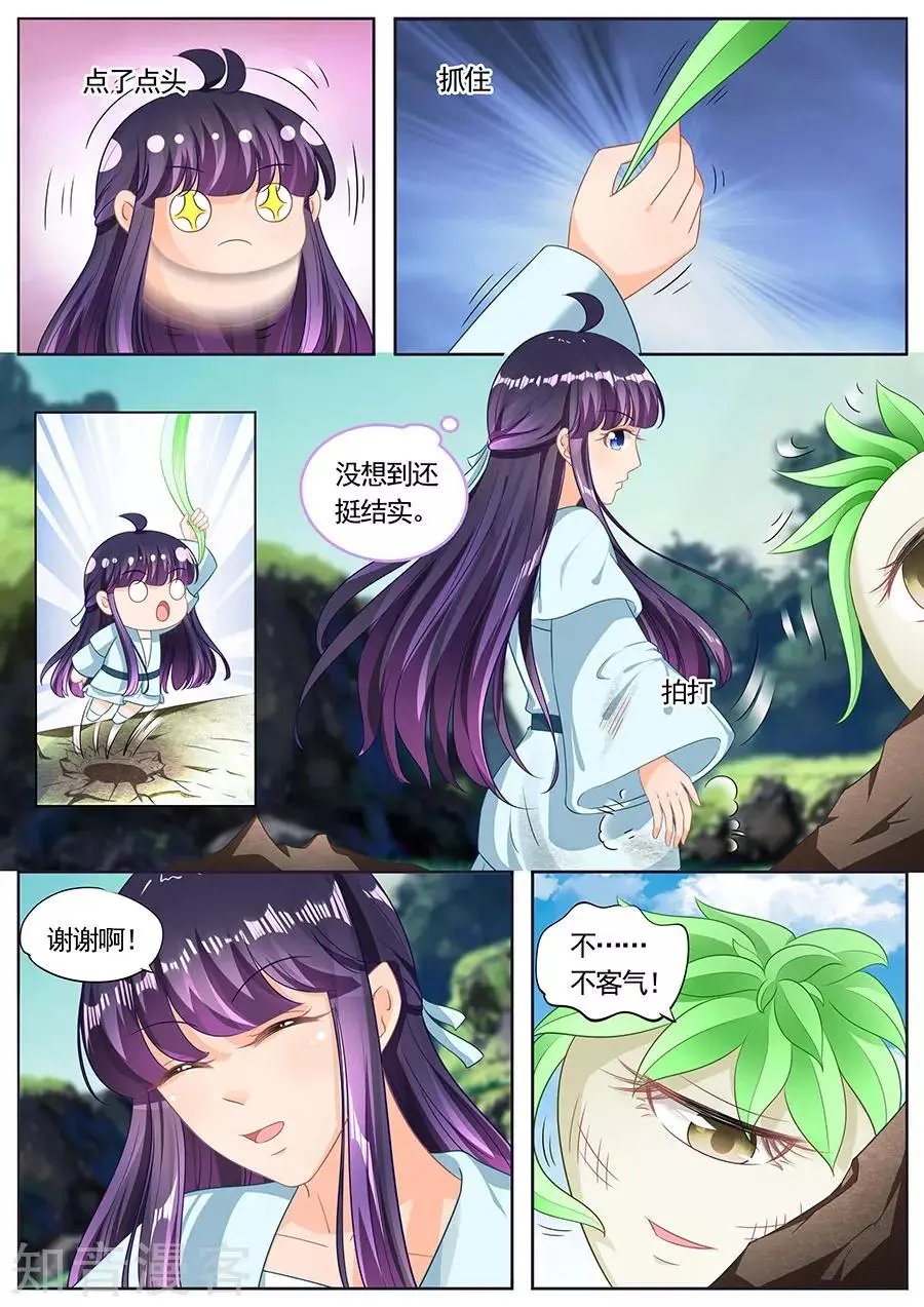 第217话