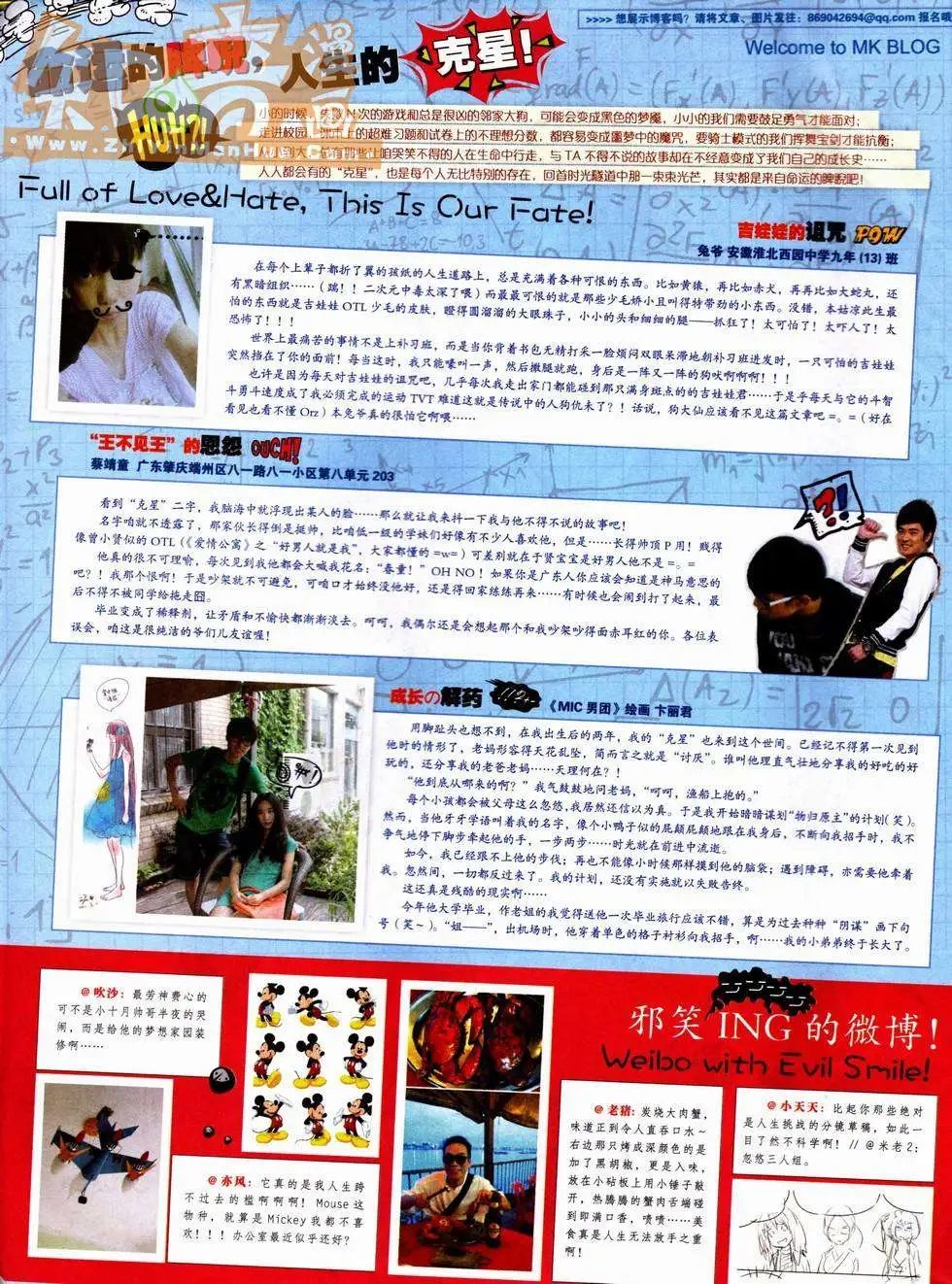 第229期