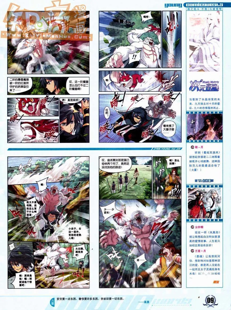 第229期
