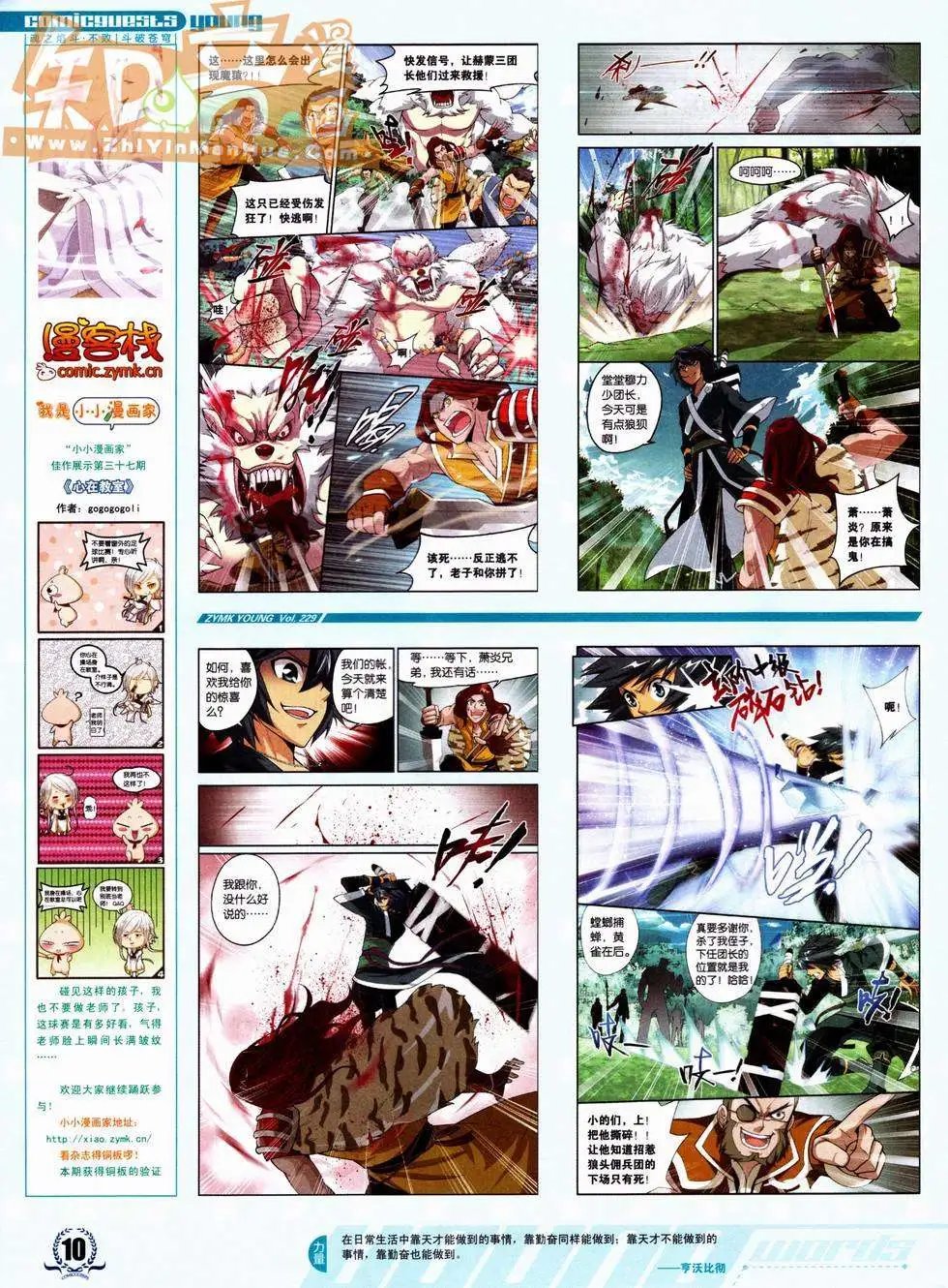 第229期