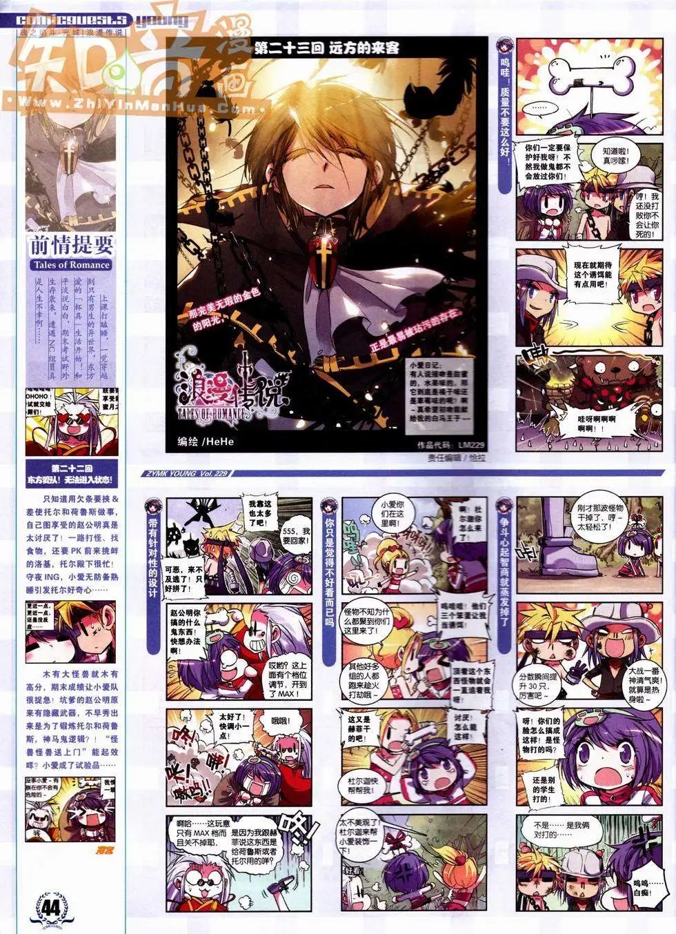 第229期