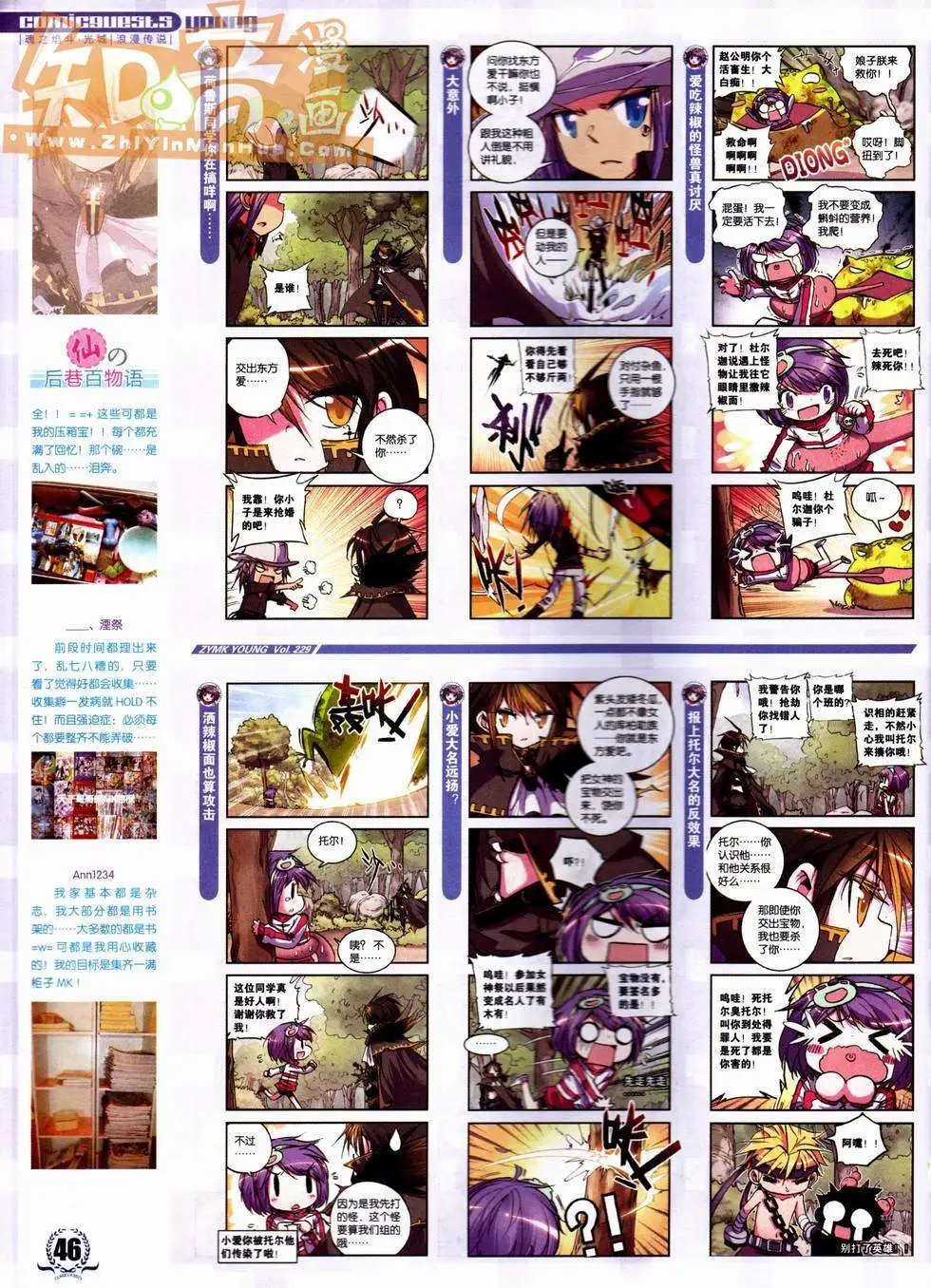 第229期
