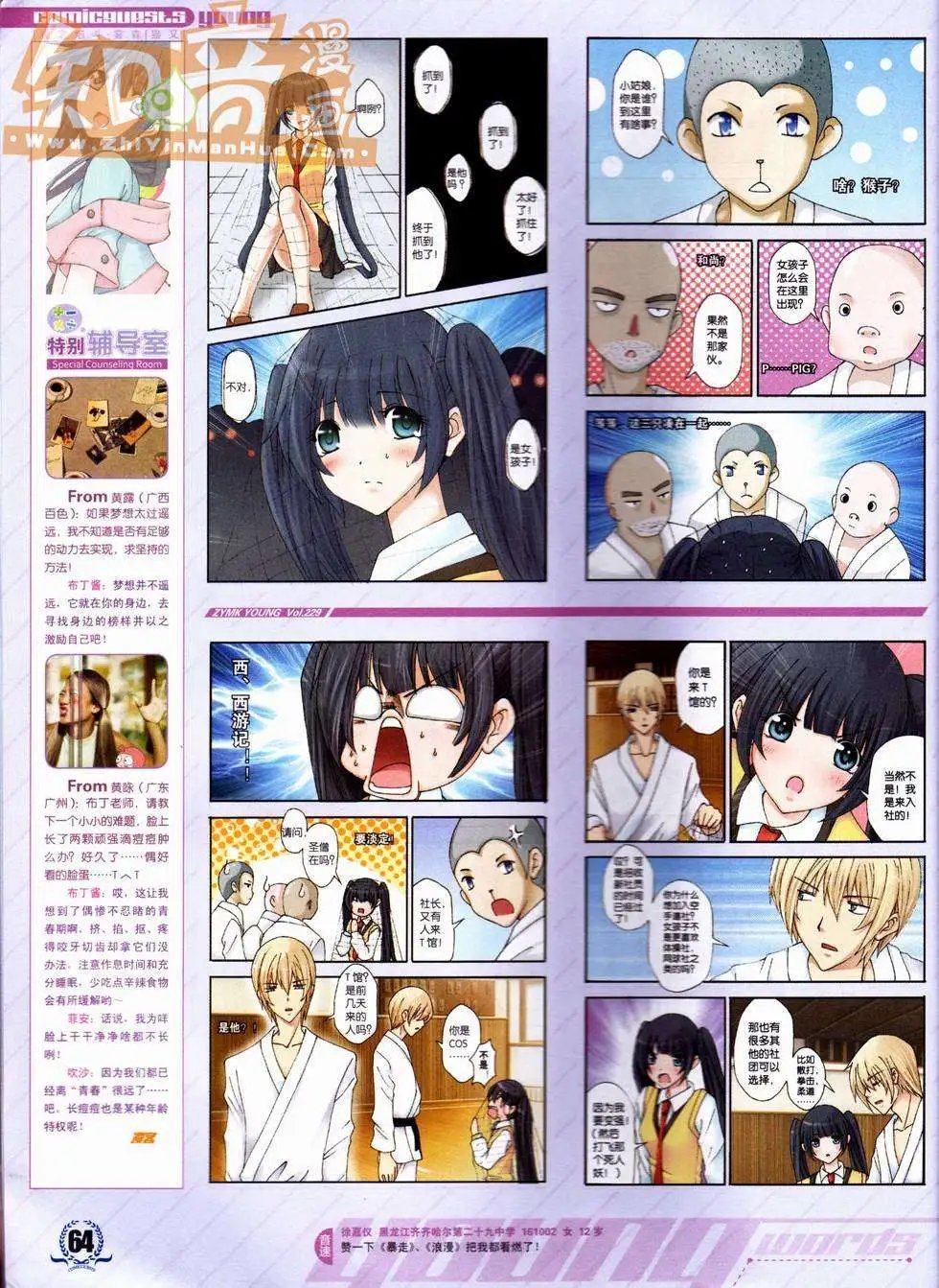 第229期