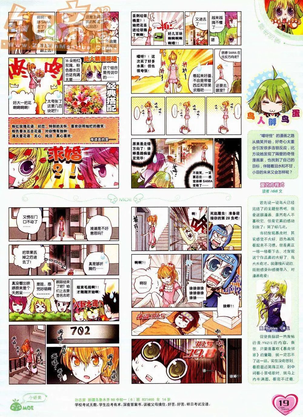 第228期