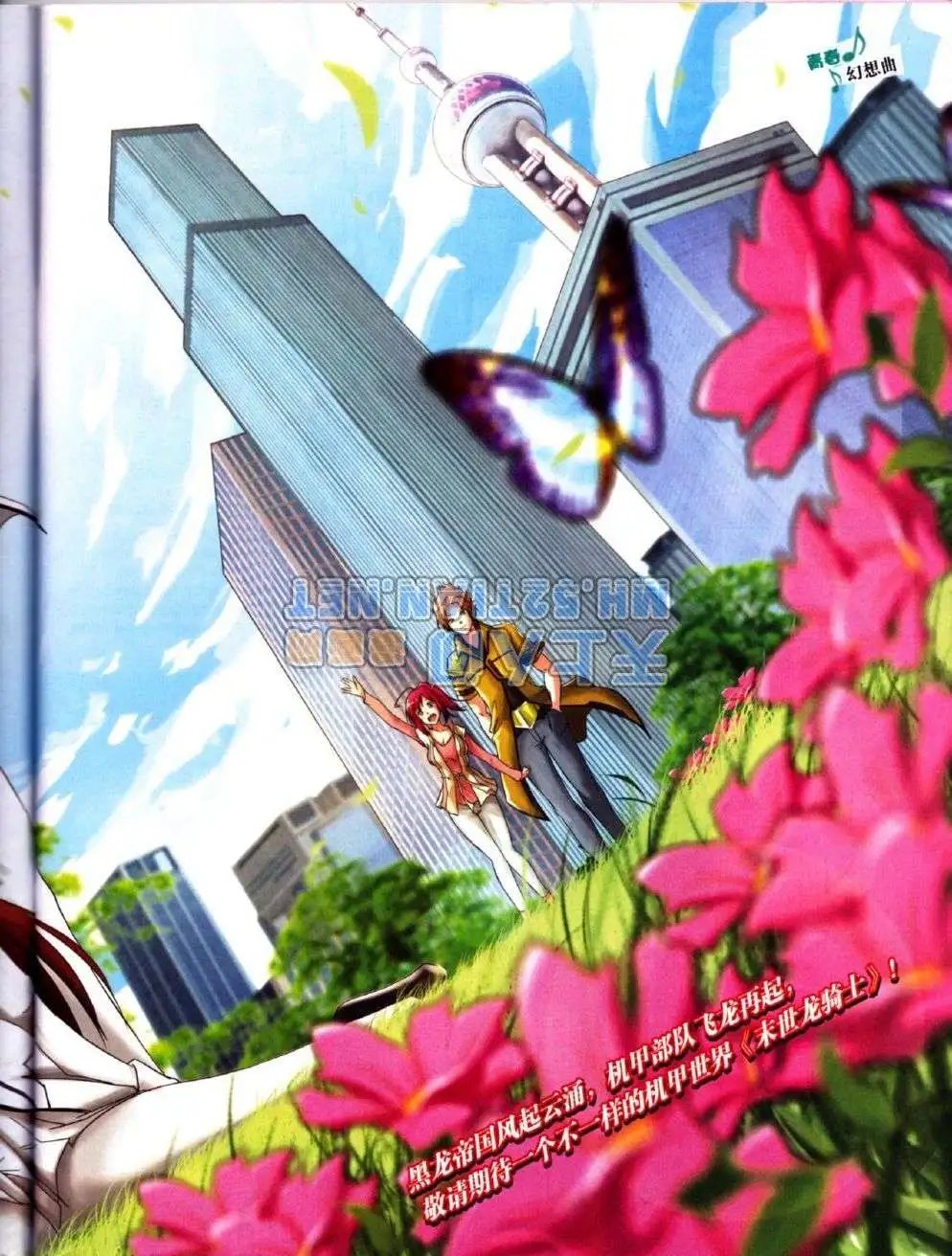 第223期