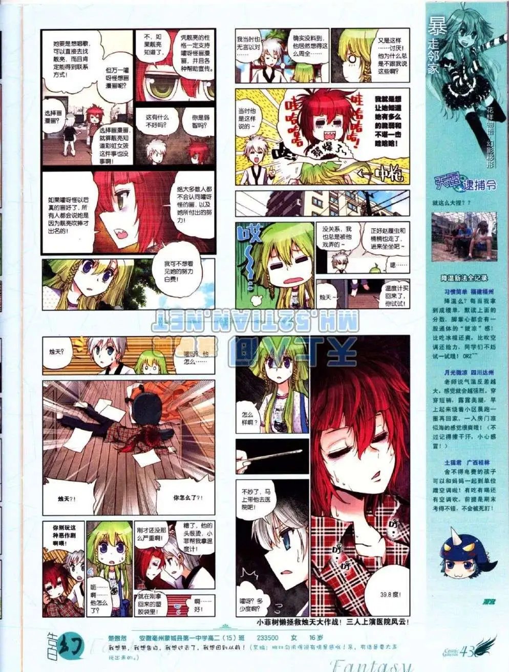 第223期