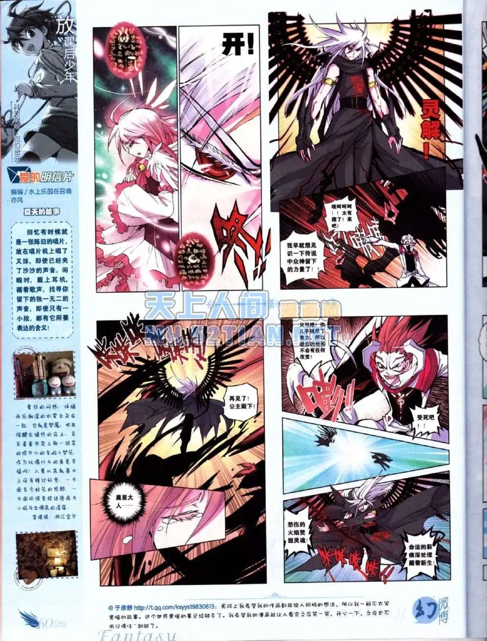 第223期