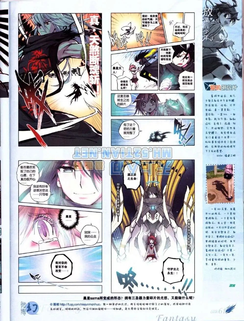 第223期
