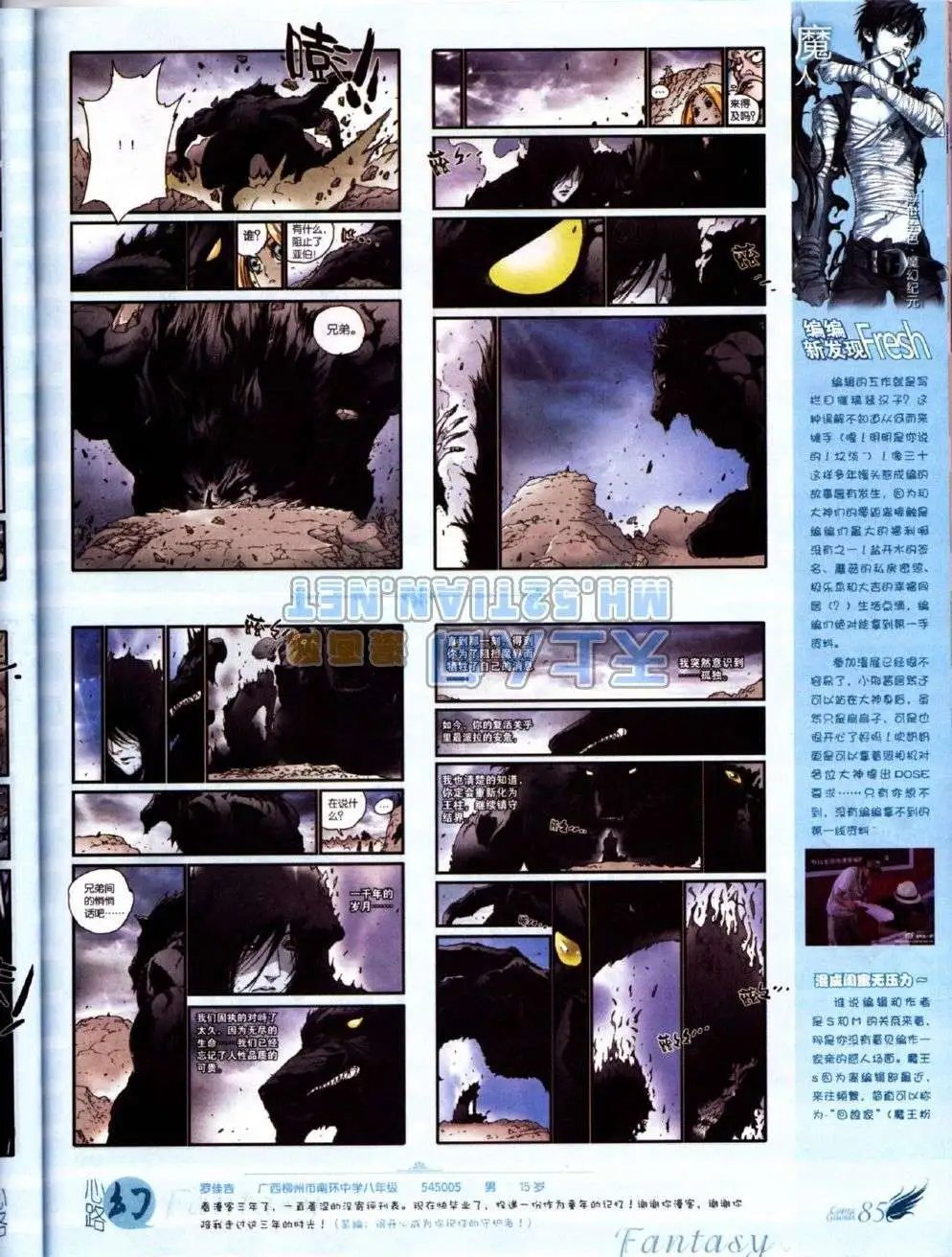 第223期